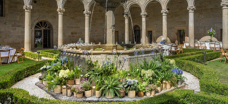 como crear un centro de navidad con plantas naturales — Mar de Flores