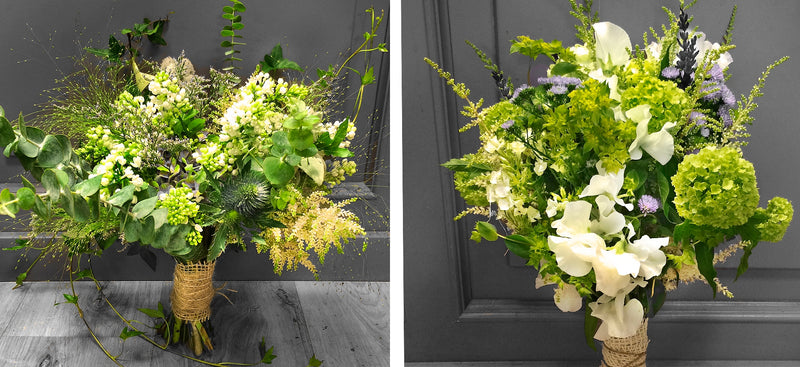 plantas que florecen todo el ano — Mar de Flores