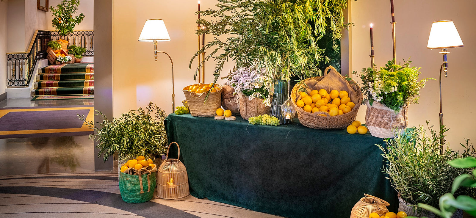mejores centros de plantas para regalar — Mar de Flores