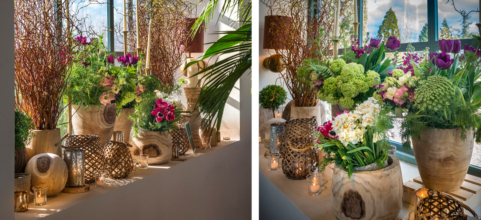 escuela de botanica ii — Mar de Flores