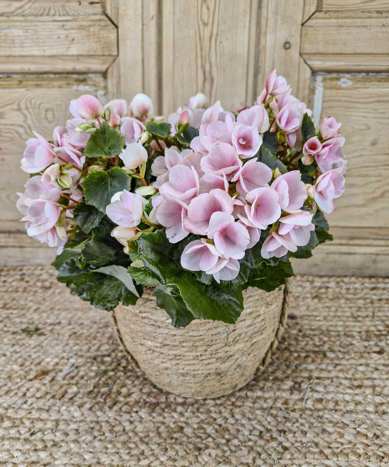 como hacer una diadema con flores preservadas — Mar de Flores
