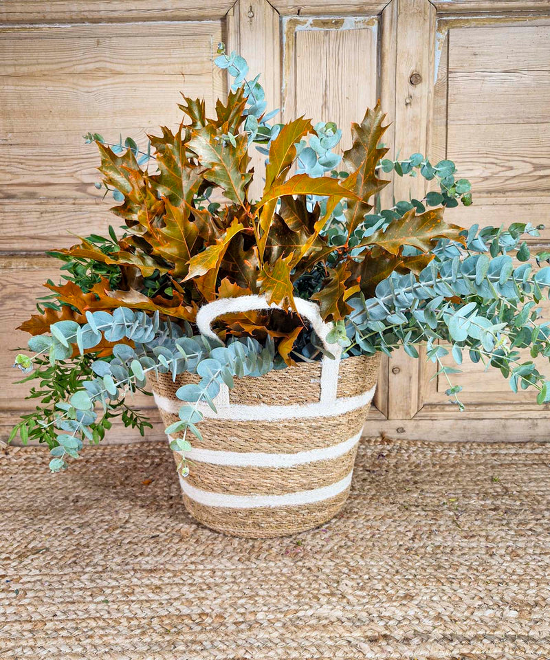 mar de flores en navidad — Mar de Flores