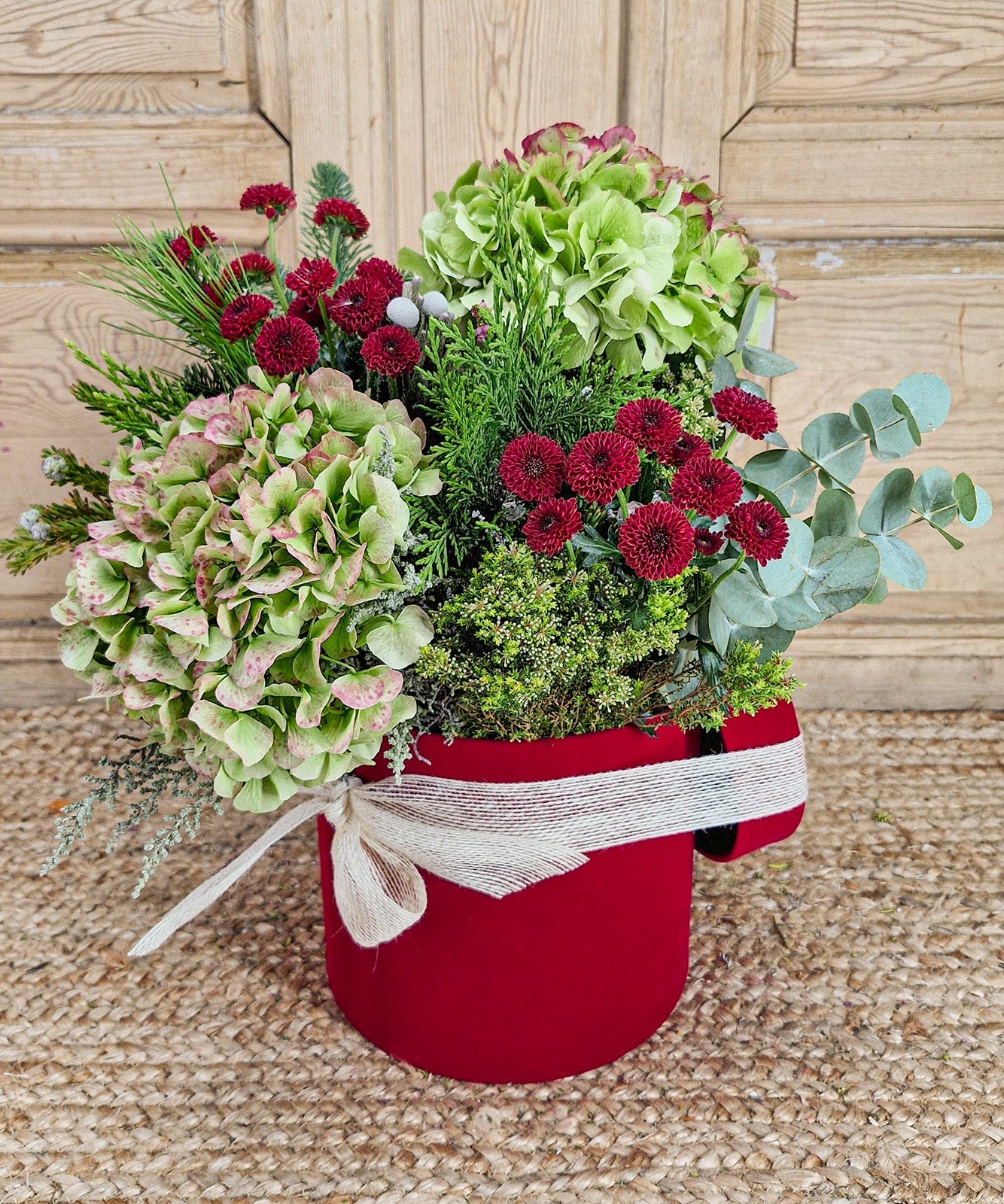 consejos florecer una orquidea — Mar de Flores