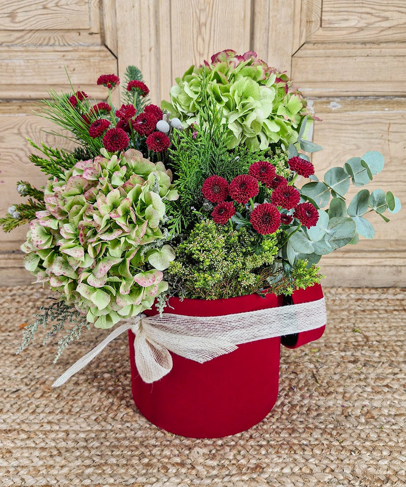 consejos florecer una orquidea — Mar de Flores
