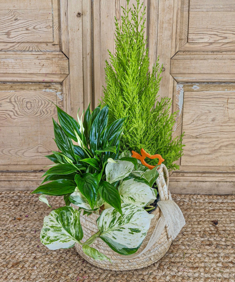 centros de mesa con velas y flores secas — Mar de Flores