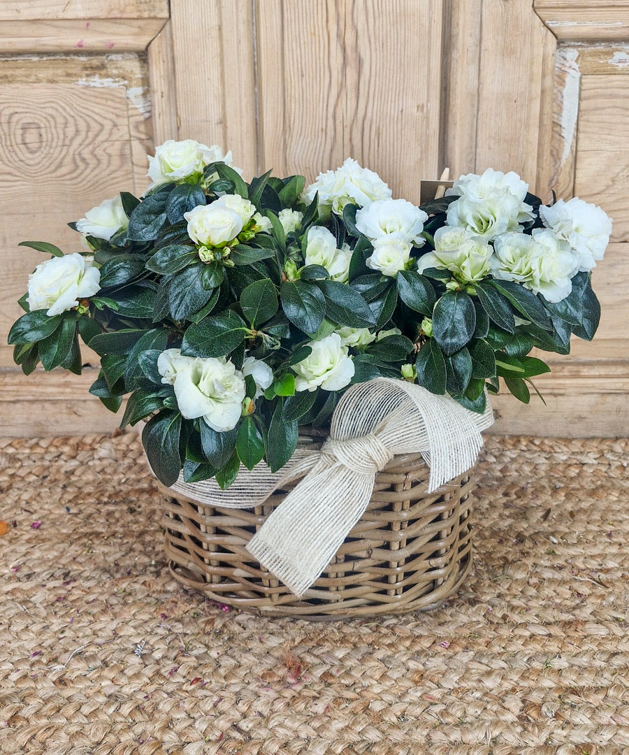 un ramo para cada novia vogue espana — Mar de Flores