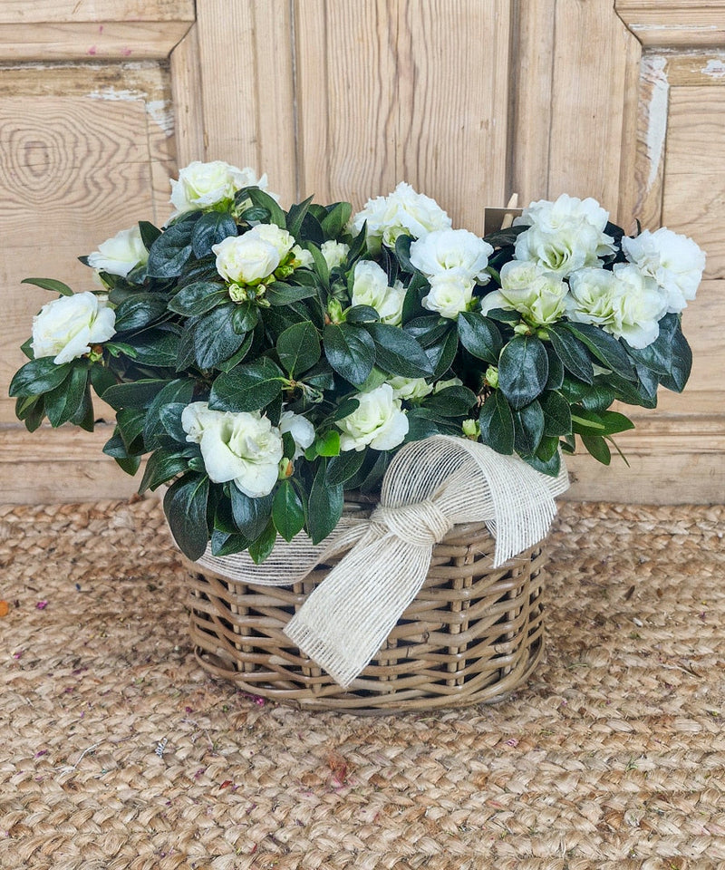 un ramo para cada novia vogue espana — Mar de Flores