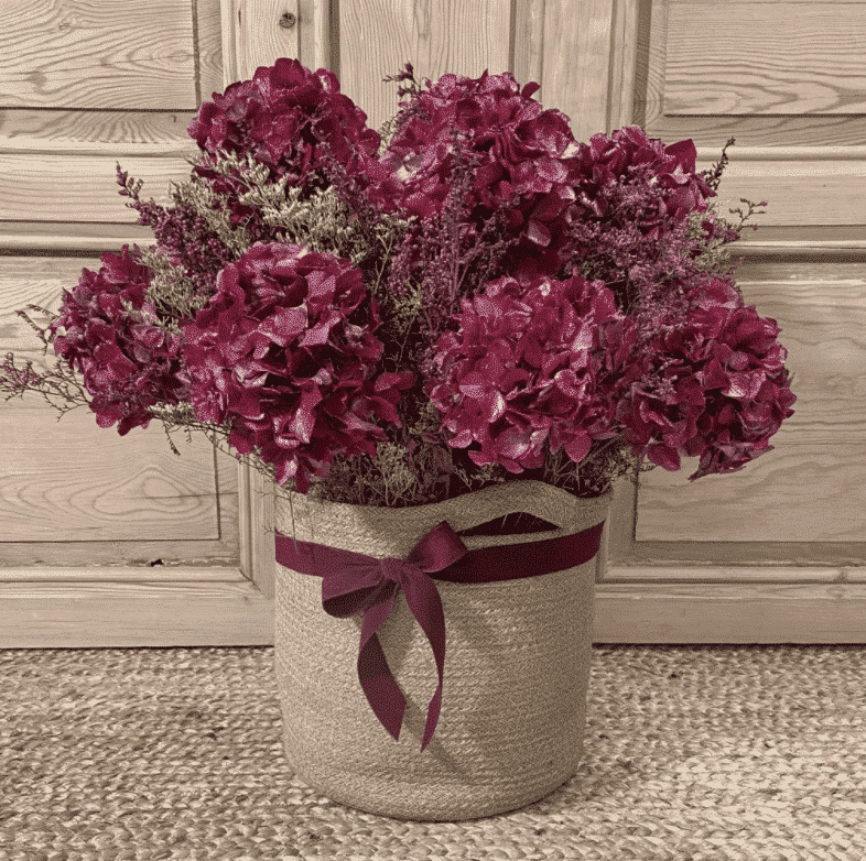 flores preservadas