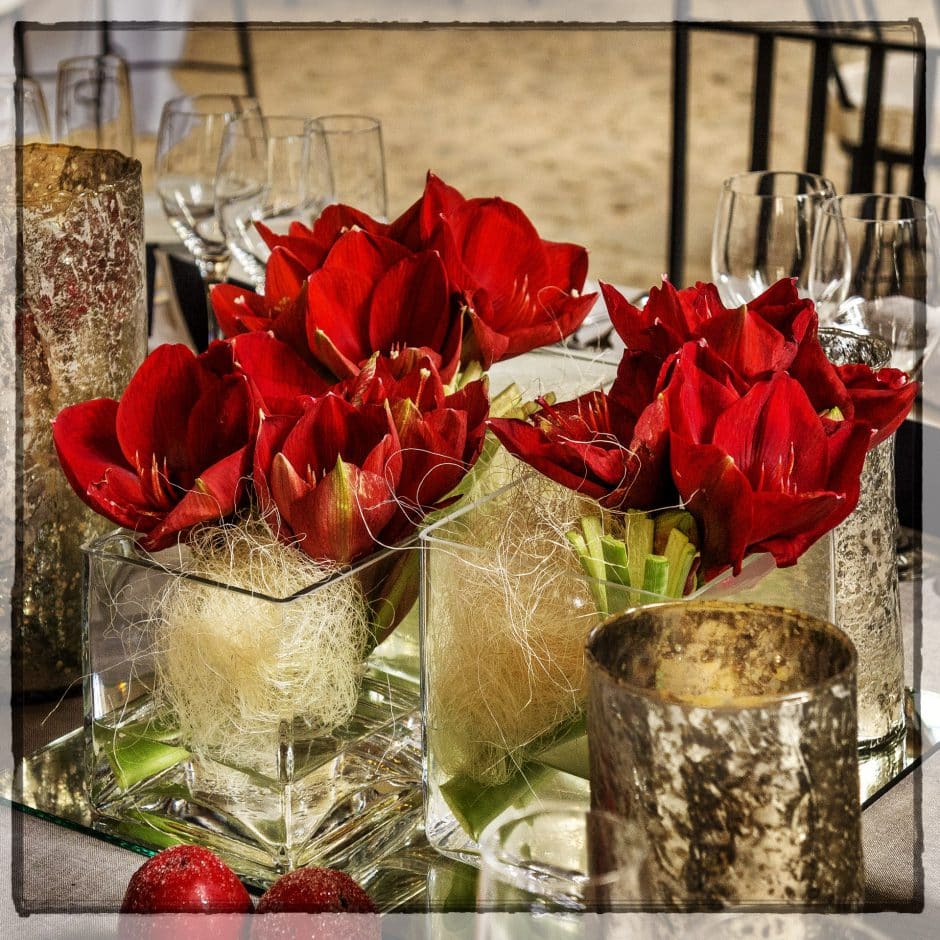 Decoración navideña: flores para Navidad