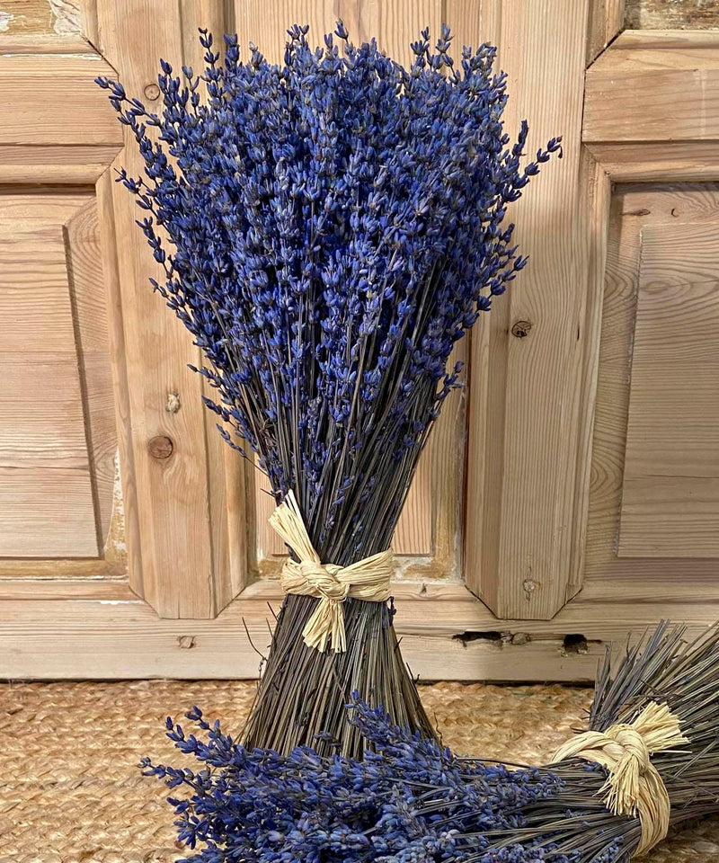 flores letras y un gran regalo — Mar de Flores
