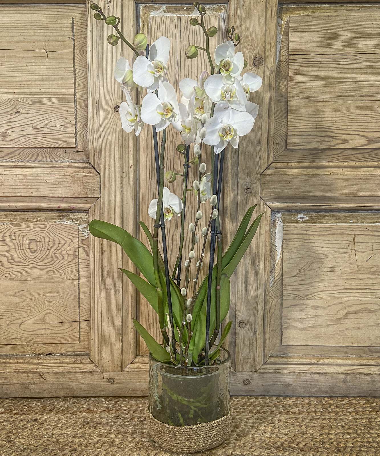 flores para el instituto juan march — Mar de Flores