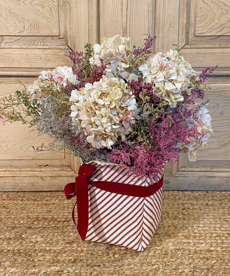 tipos de orquideas — Mar de Flores
