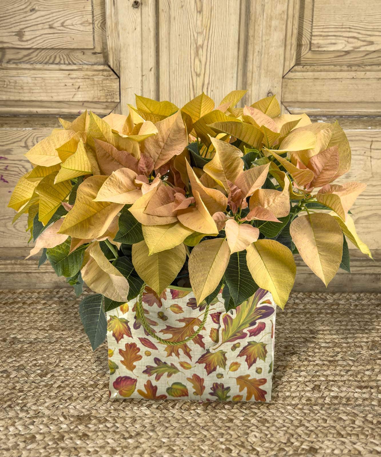 como hacer cuadros con flores preservadas — Mar de Flores