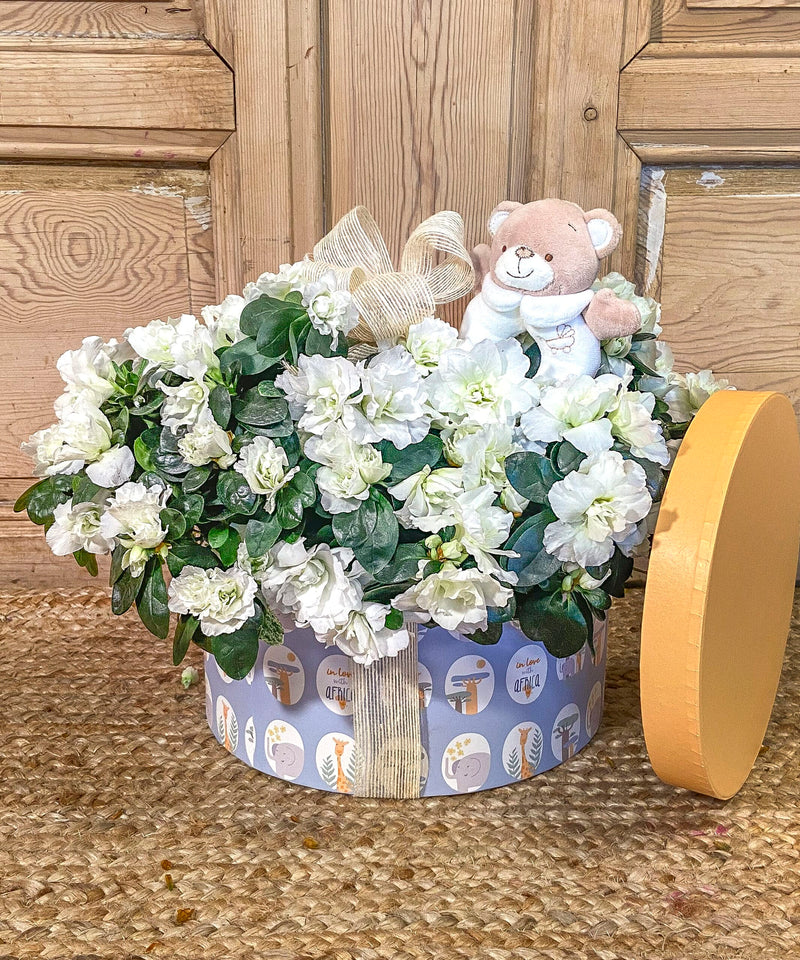 arreglos florales sencillos — Mar de Flores