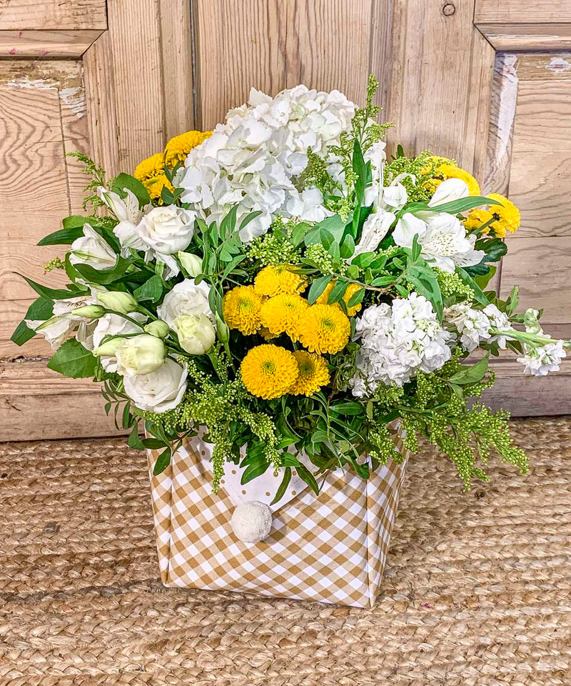cuales son las flores de navidad — Mar de Flores