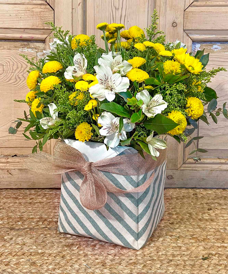 llego la navidad a mar de flores — Mar de Flores
