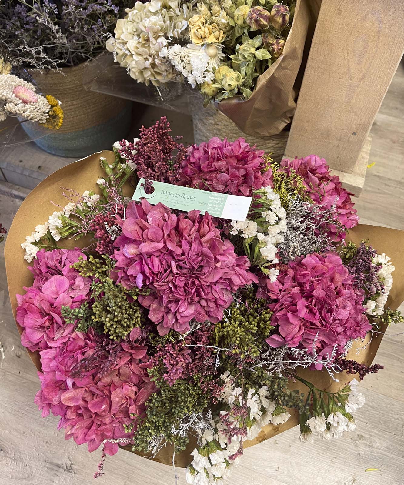 ciclamen y como cuidarlas — Mar de Flores