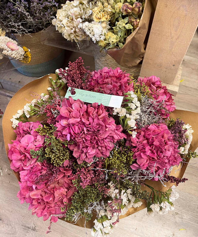 ciclamen y como cuidarlas — Mar de Flores