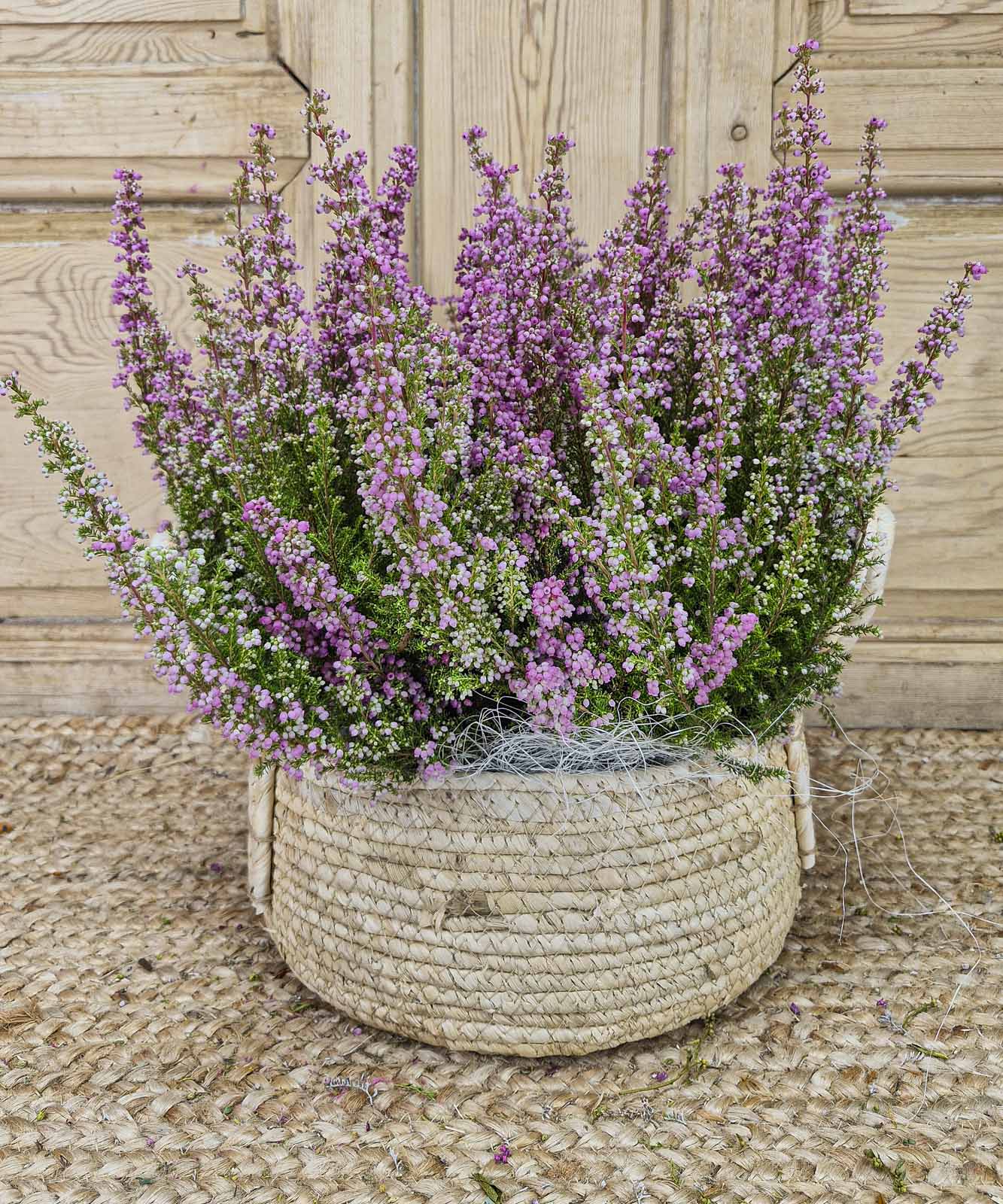 en la quinta de jarama — Mar de Flores