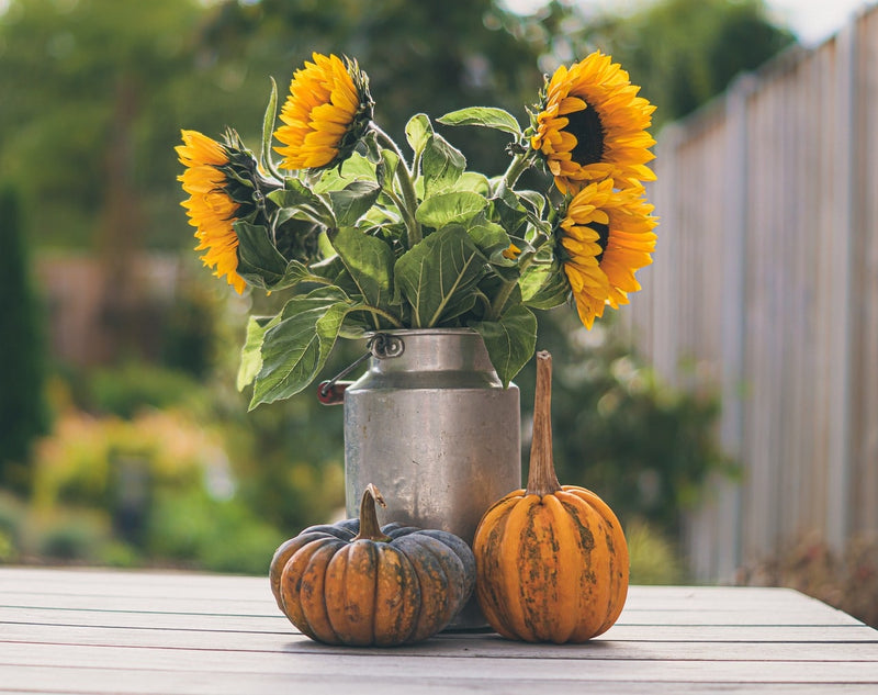Centro de flores para Halloween con girasoles y calabazas decorando la mesa