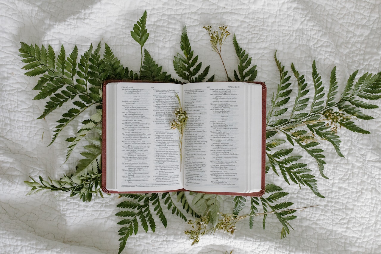 Libro abierto con flor seca como marcador de páginas