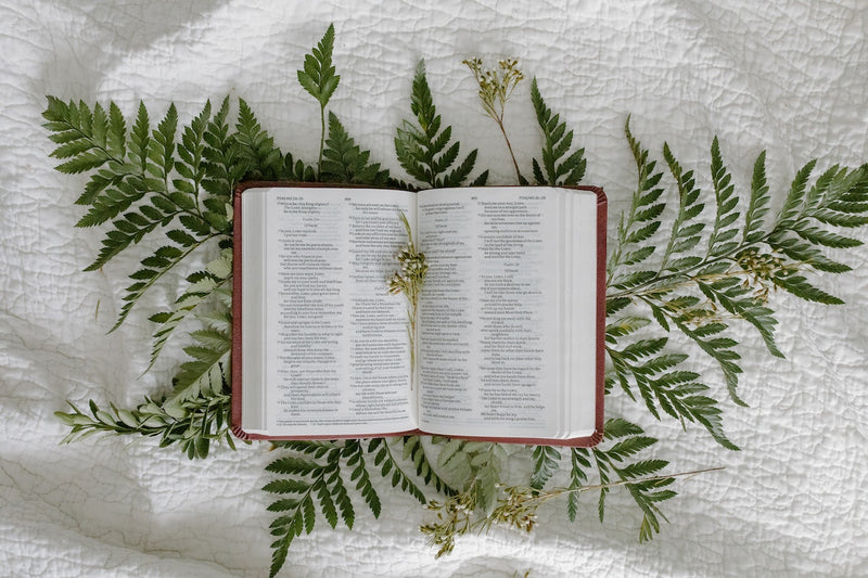 Libro abierto con flor seca como marcador de páginas