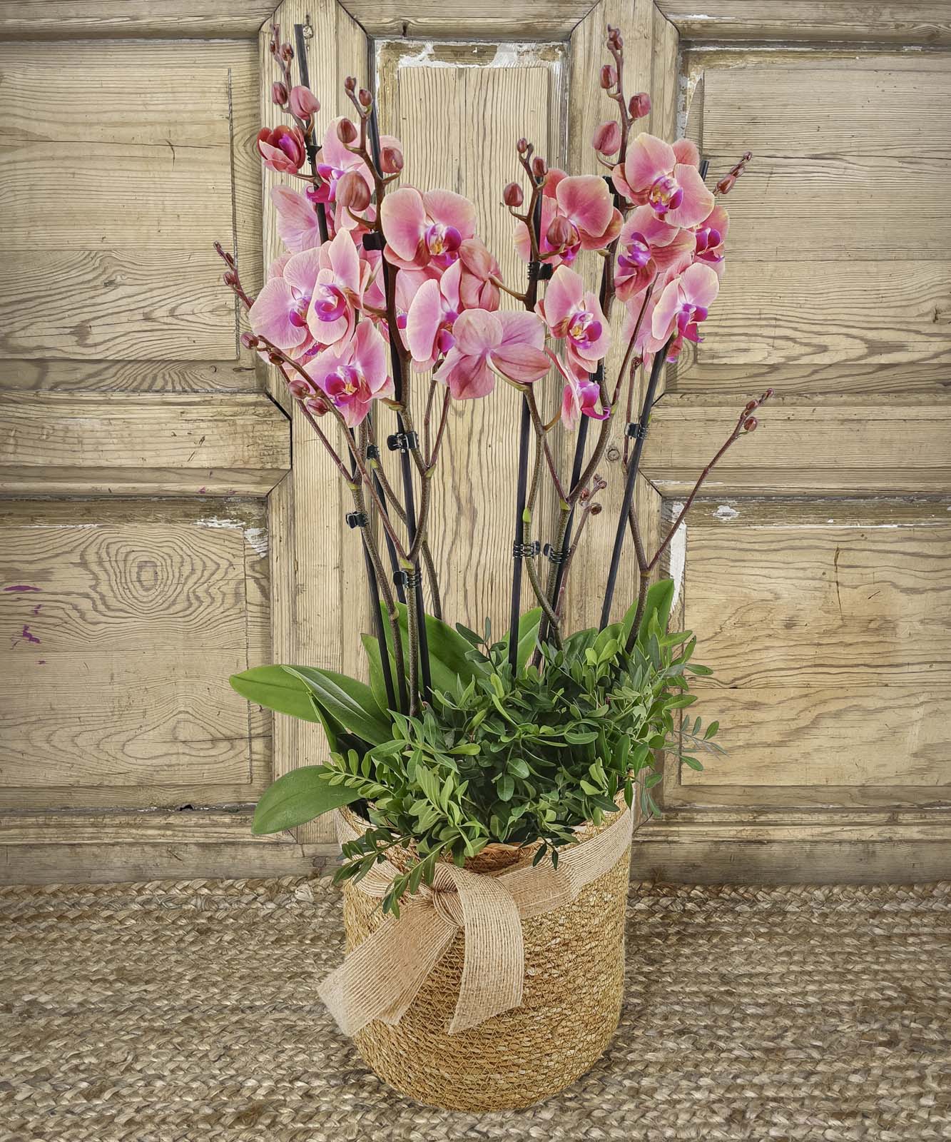 Bali, Cesta de Orquídeas