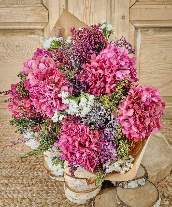 Flores de Navidad