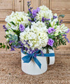 Lucas, caja con Hortensias
