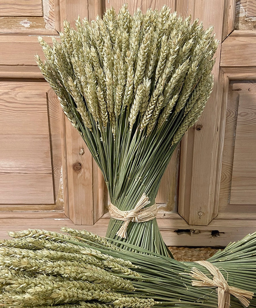 Najac, espigas de Trigo