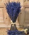 Marsella, Lavanda preservada