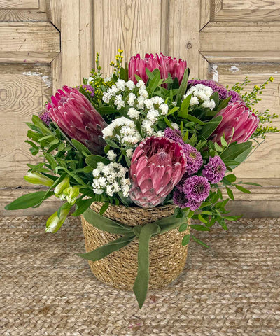 Parma, Proteas Tropicales