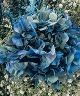 Riga, Ramo hortensias preservadas