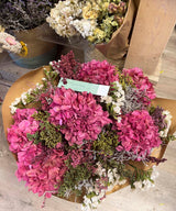 Riga, Ramo hortensias preservadas